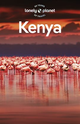 Cover image for Travel Guide Kenya
