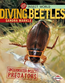 Cover image for Diving Beetles