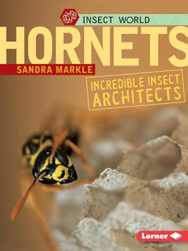 Cover image for Hornets