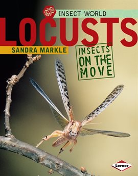 Cover image for Locusts