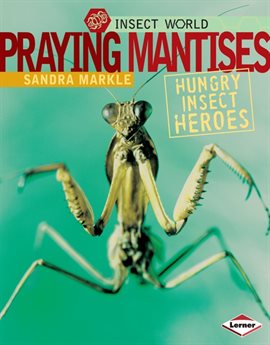 Cover image for Praying Mantises