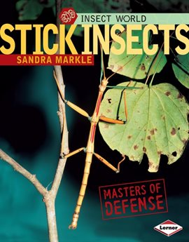 Cover image for Stick Insects