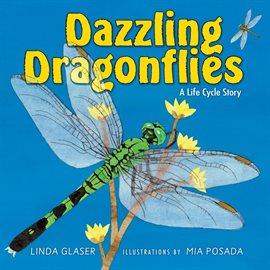 Cover image for Dazzling Dragonflies