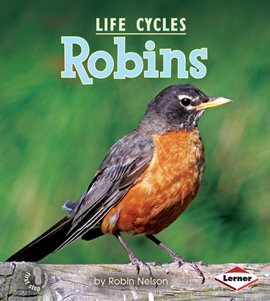 Cover image for Robins