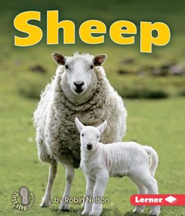 Cover image for Sheep
