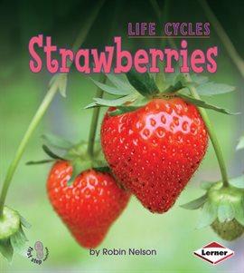 Cover image for Strawberries