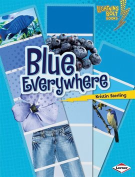 Cover image for Blue Everywhere