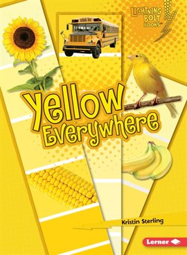 Cover image for Yellow Everywhere