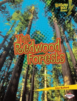 Cover image for The Redwood Forests