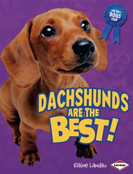 Cover image for Dachshunds Are the Best!