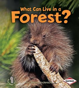 Cover image for What Can Live in a Forest?