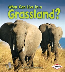 Cover image for What Can Live in a Grassland?