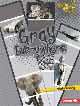Cover image for Gray Everywhere