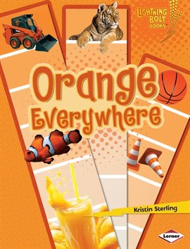 Cover image for Orange Everywhere