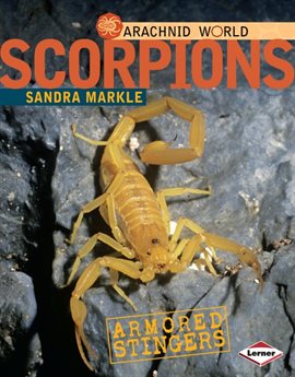 Cover image for Scorpions