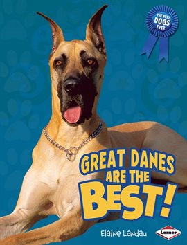 Cover image for Great Danes Are the Best!