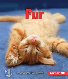 Cover image for Fur