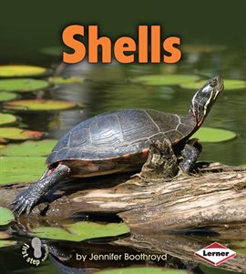 Cover image for Shells