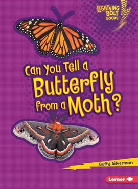 Cover image for Can You Tell a Butterfly from a Moth?