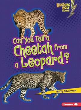 Cover image for Can You Tell a Cheetah from a Leopard?