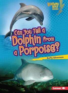 Cover image for Can You Tell a Dolphin from a Porpoise?