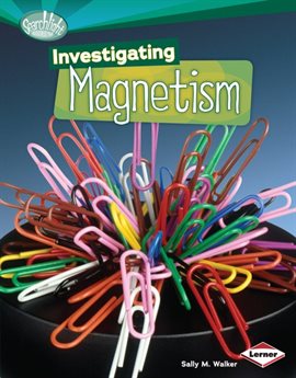 Cover image for Investigating Magnetism