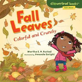 Cover image for Fall Leaves