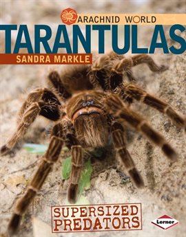 Cover image for Tarantulas