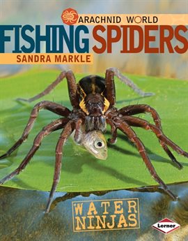 Imagen de portada para Fishing Spiders