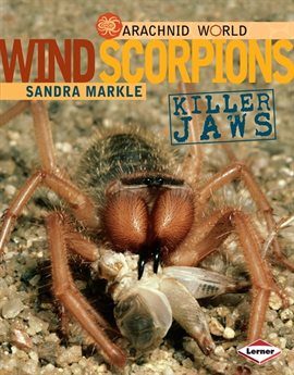 Cover image for Wind Scorpions