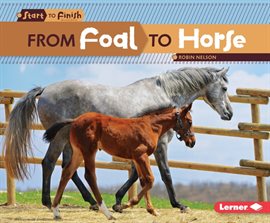 Cover image for From Foal to Horse