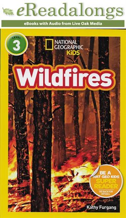 Cover image for Wildfires
