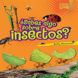 Cover image for ¿Sabes algo sobre insectos? (Do You Know about Insects?)