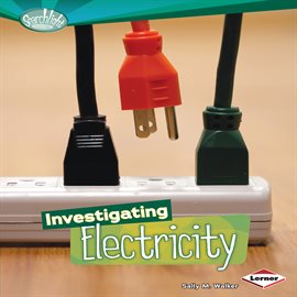 Cover image for Investigating Electricity