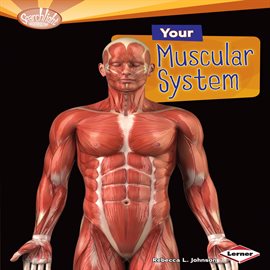 Imagen de portada para Your Muscular System