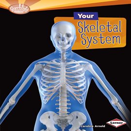 Cover image for Your Skeletal System