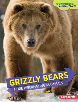 Cover image for Grizzly Bears