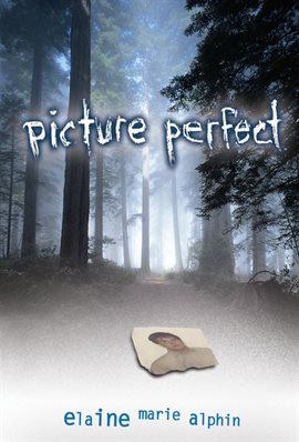 Cover image for Picture Perfect