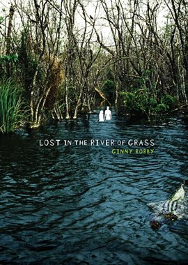 Cover image for Lost In The River of Grass