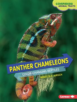Cover image for Panther Chameleons