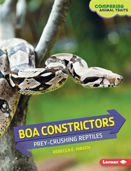 Cover image for Boa Constrictors