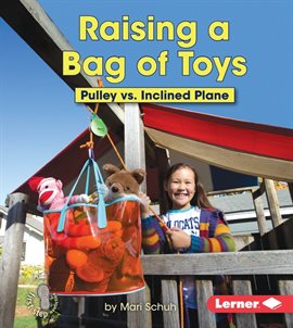Cover image for Raising a Bag of Toys