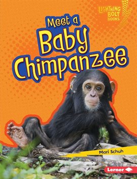 Cover image for Meet a Baby Chimpanzee