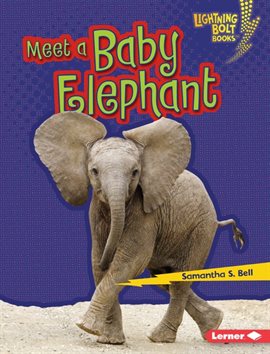 Cover image for Meet a Baby Elephant