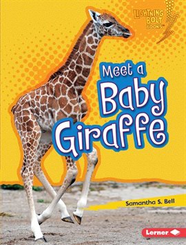 Cover image for Meet a Baby Giraffe