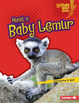 Cover image for Meet a Baby Lemur