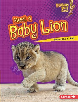 Cover image for Meet a Baby Lion