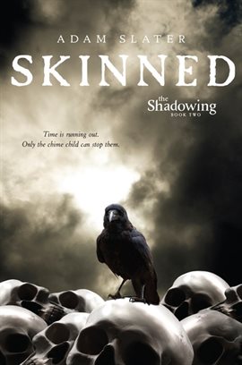 Cover image for Skinned