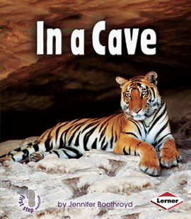 Imagen de portada para In a Cave