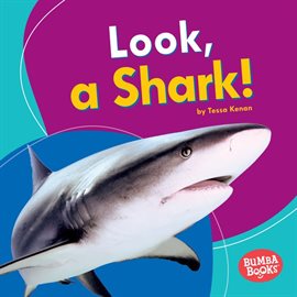 Cover image for Look, a Shark!